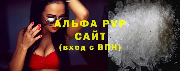 эйфоретик Гусь-Хрустальный