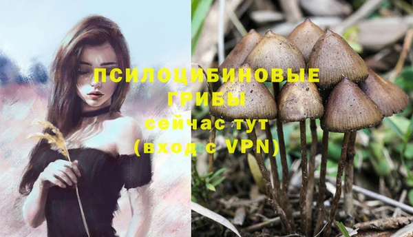 метамфетамин Дмитриев