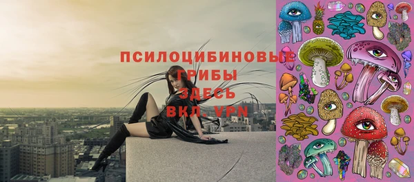 apvp Дмитровск