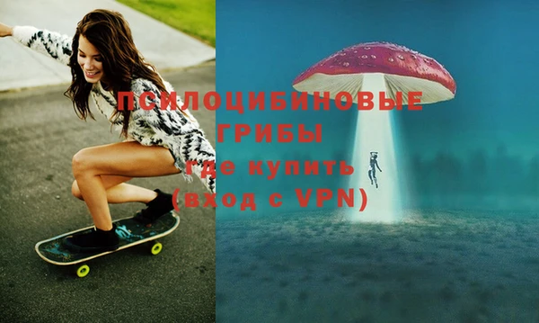 эйфоретик Гусь-Хрустальный