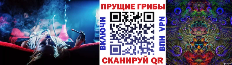 Купить где  Новокубанск  Галлюциногенные грибы MAGIC MUSHROOMS 